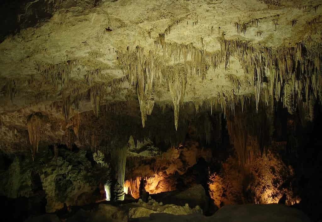 Carlsbad Caverns National Park, New Mexico