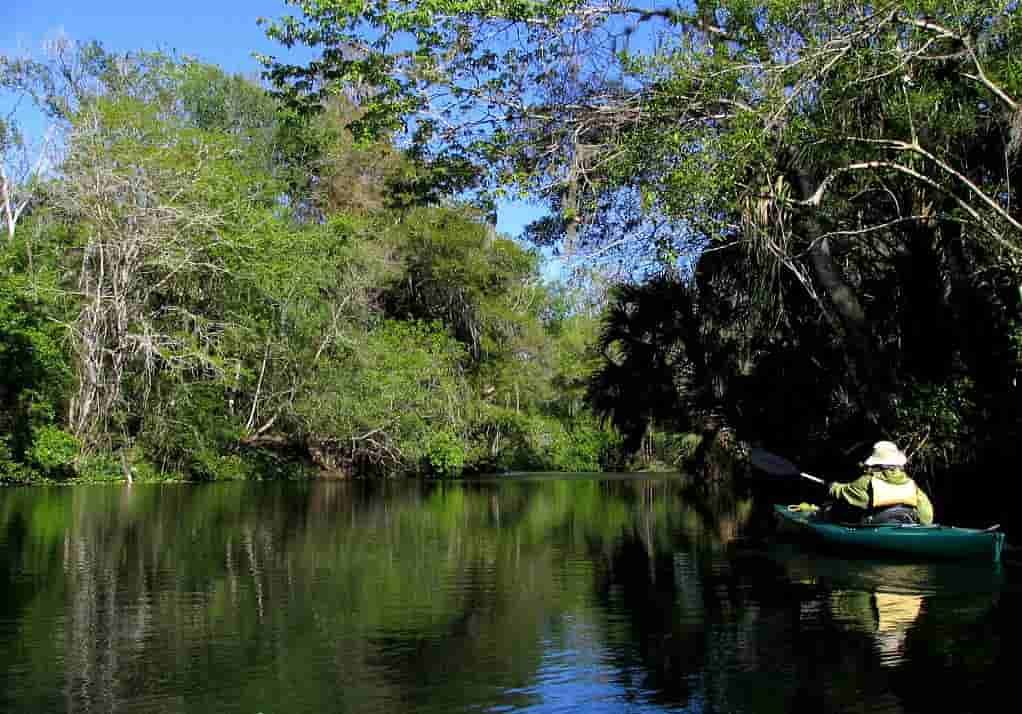 Hillsborough River State Park