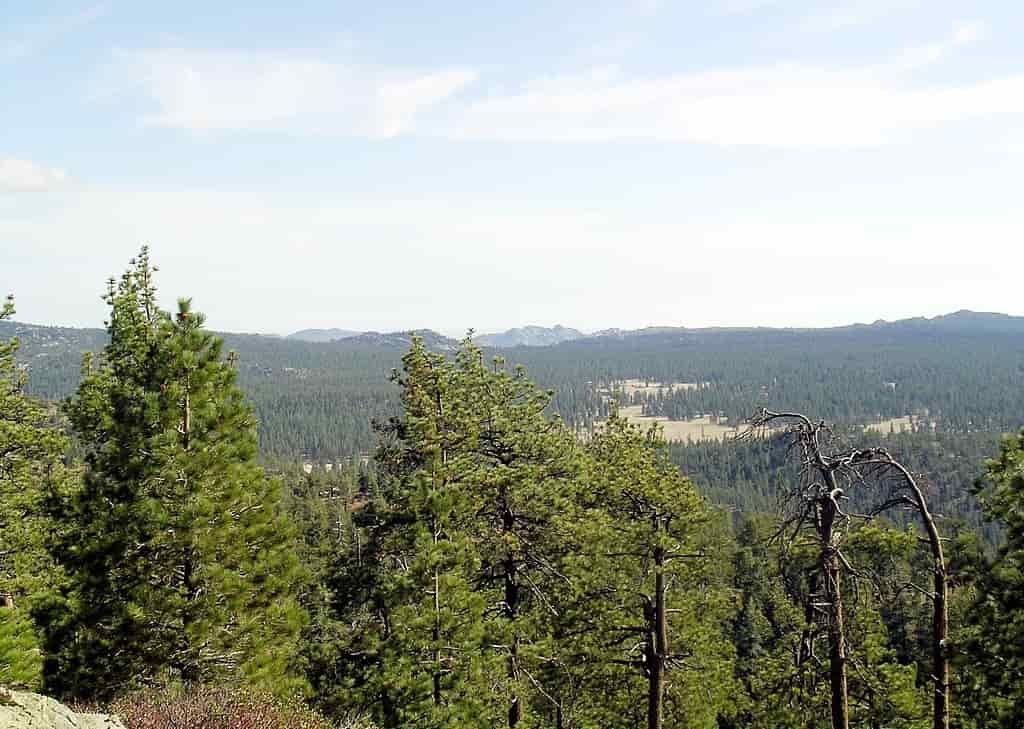 Sierra de San Pedro Mártir National Park