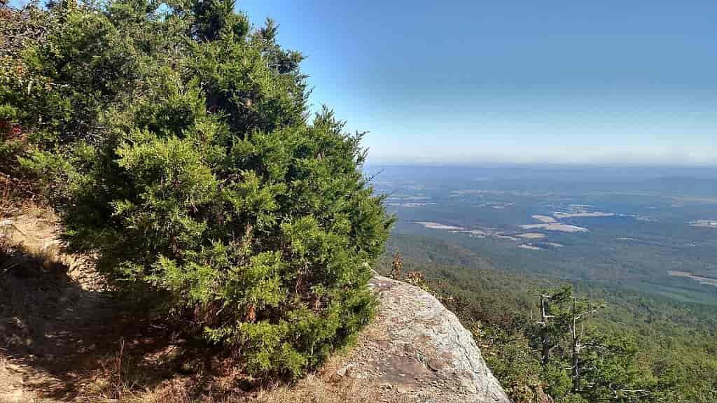 Best State Parks in Arkansas, Mount Magazine State Park