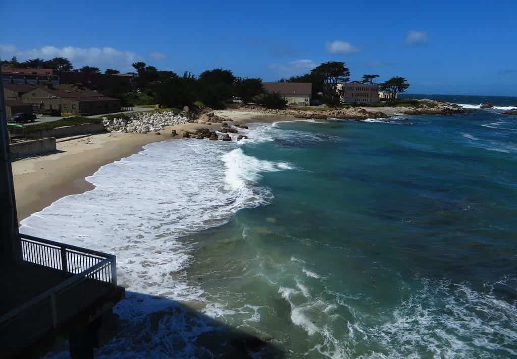 Monterey