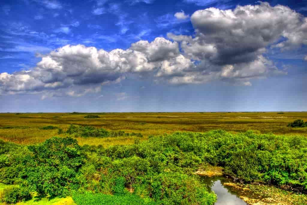 Everglades National Park