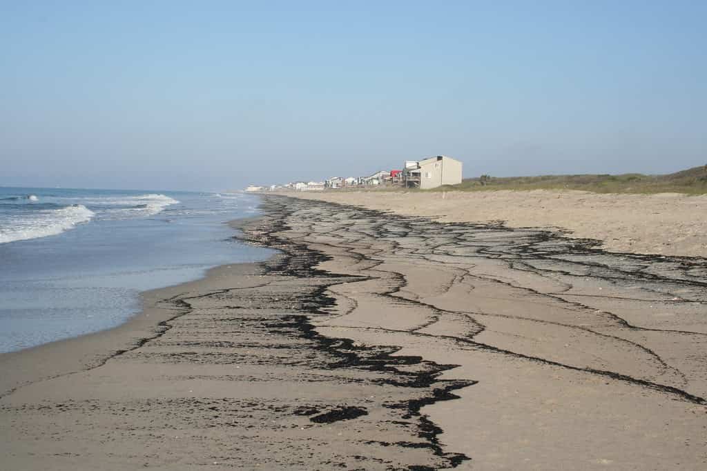 Oak Island Beach