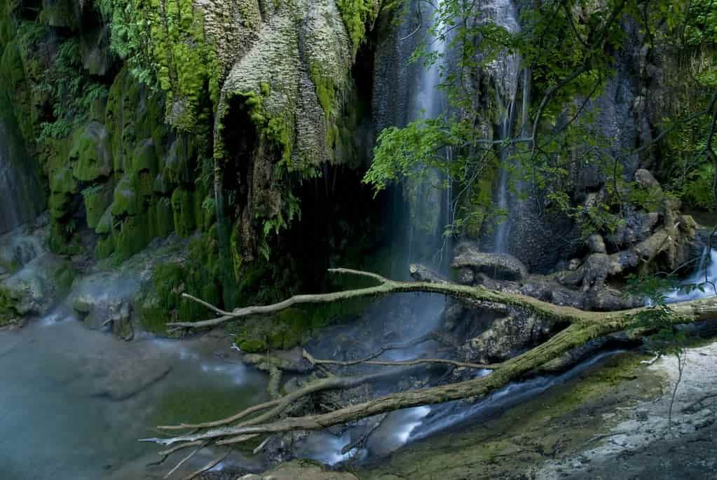 Gorman Falls, Colorado Bend State Park