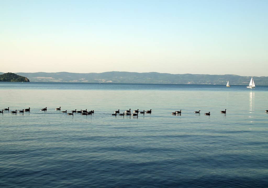 Lake Bolsena 