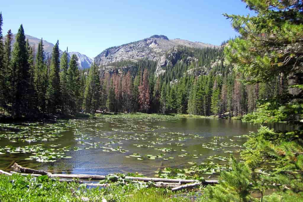 Rocky Mountain National Park