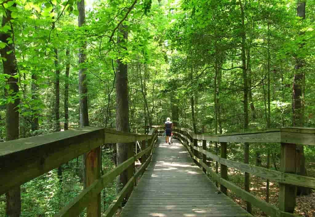 Congaree National Park