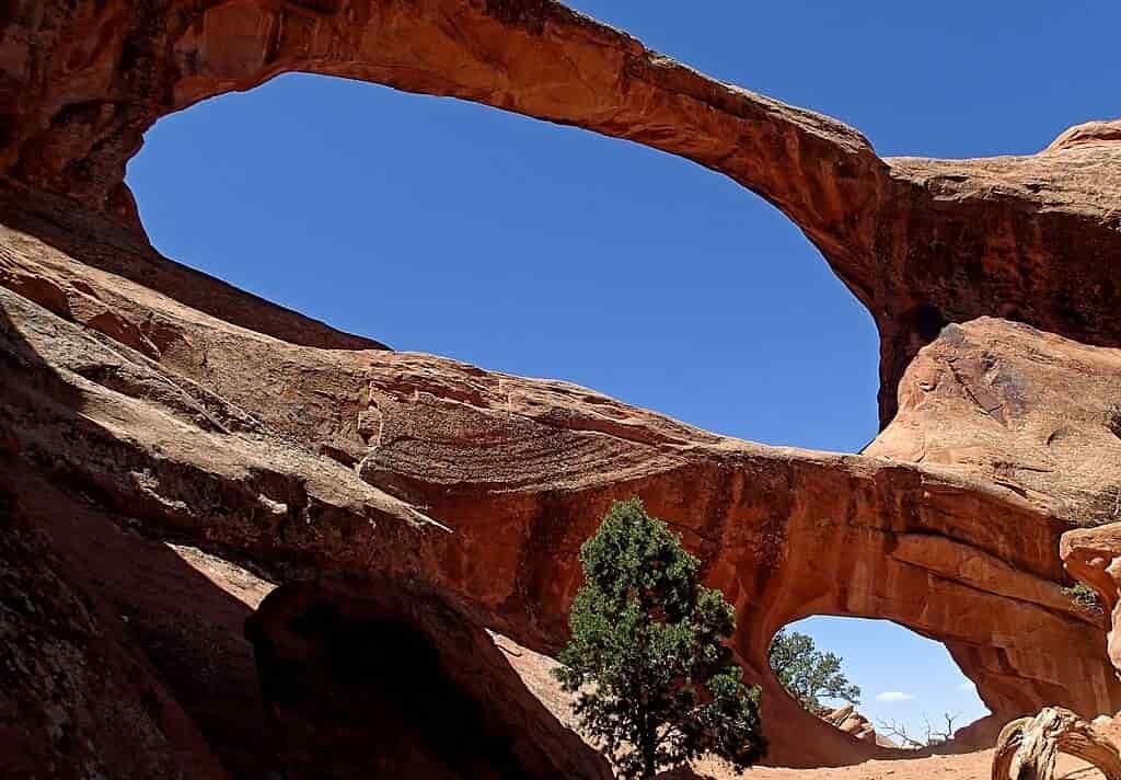 Double Arch