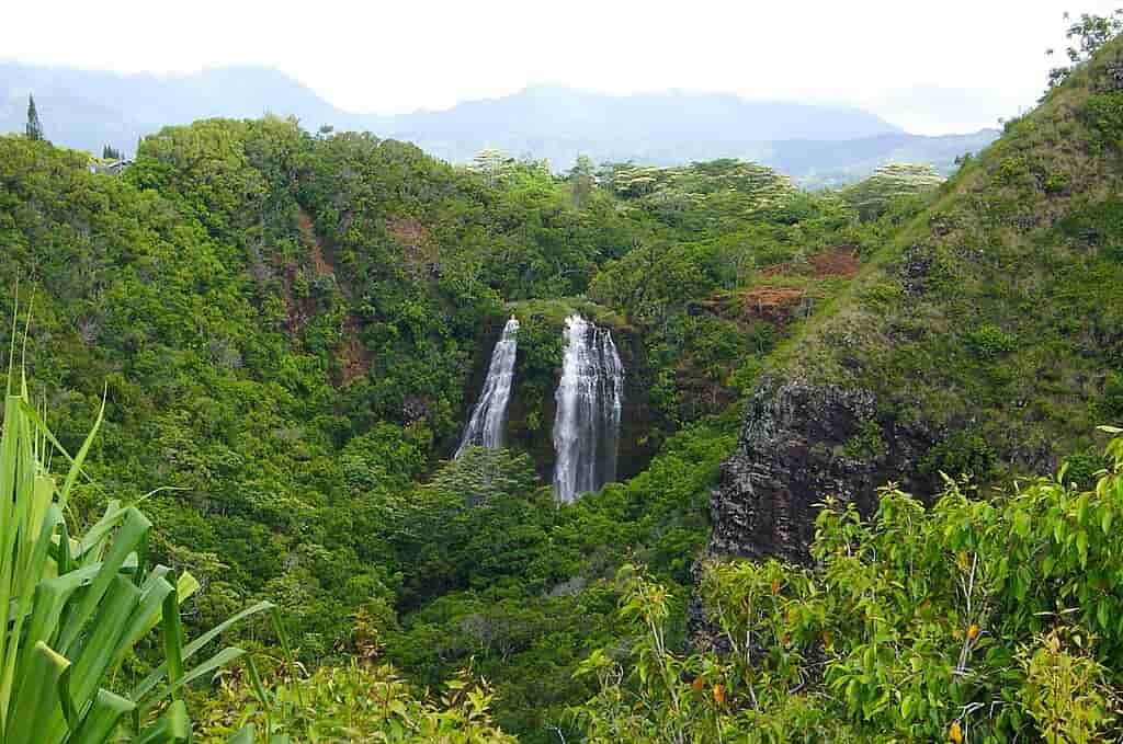 Opaekaa Falls