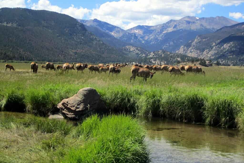 Rocky Mountain National Park 