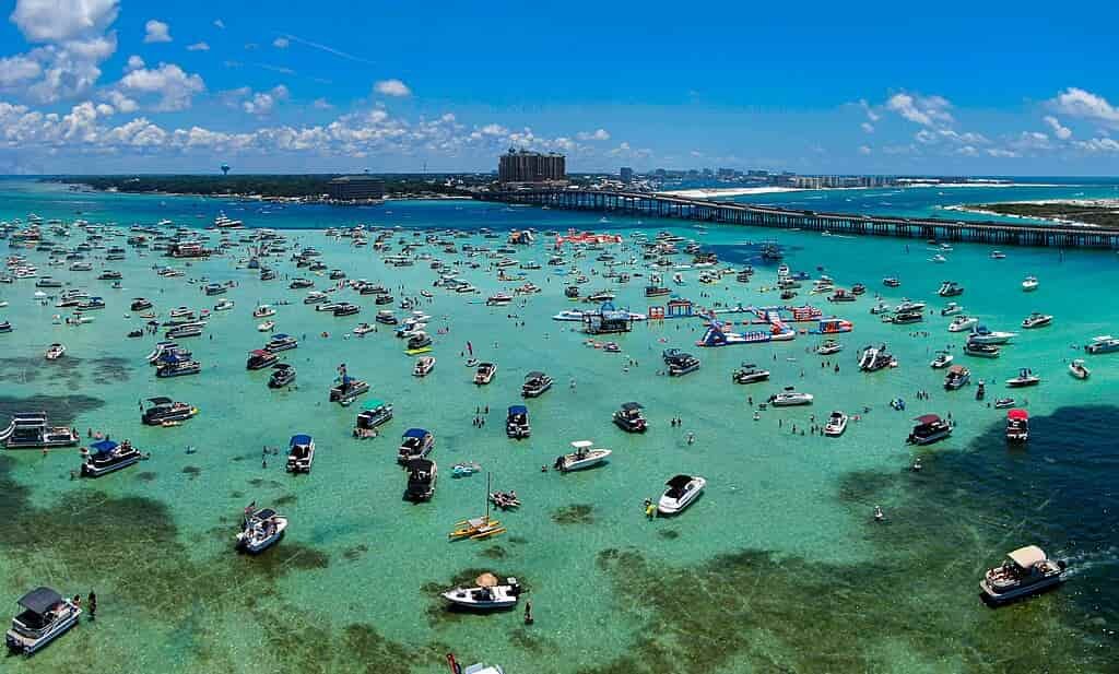 Crab Island