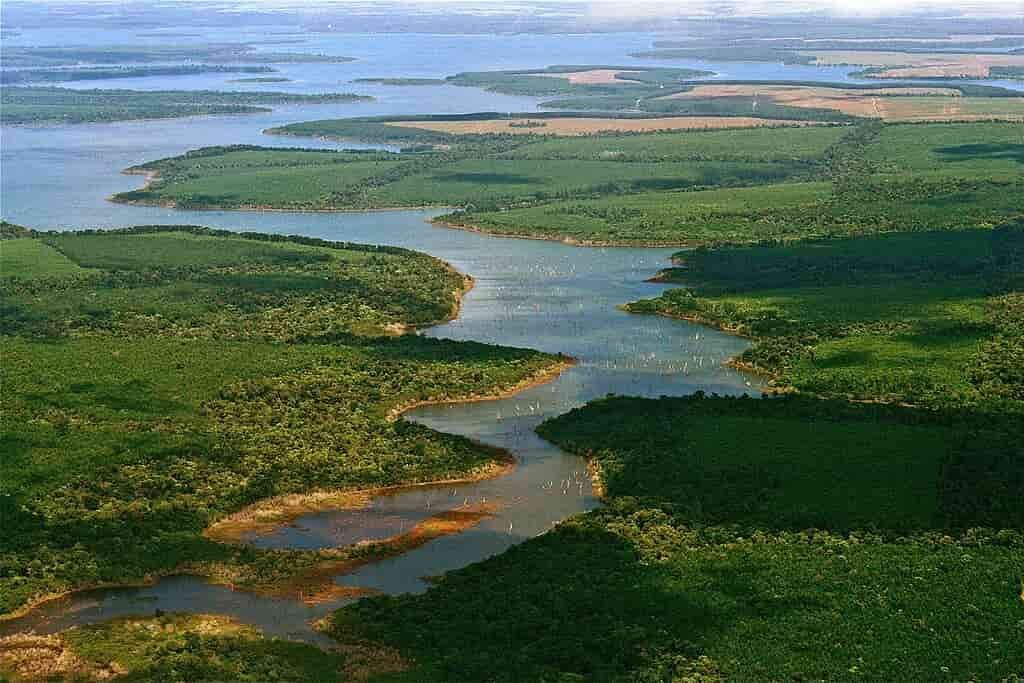 Ibera Wetlands