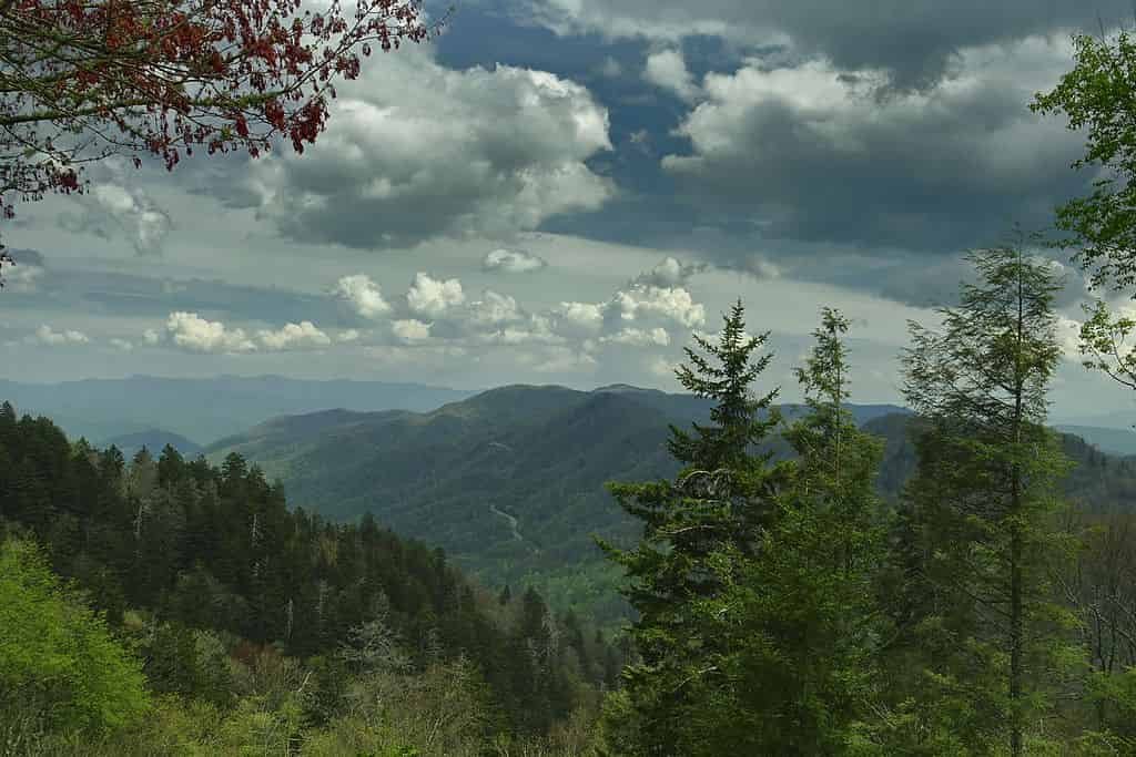 Great Smoky Mountains National Park