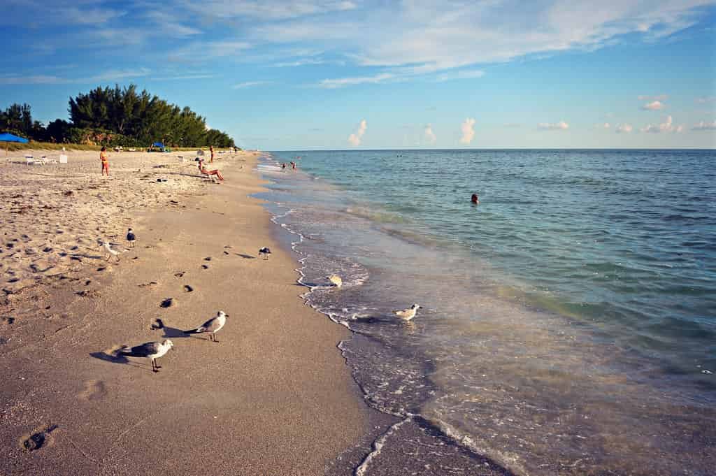 Best Florida Beaches in March, Captiva Island