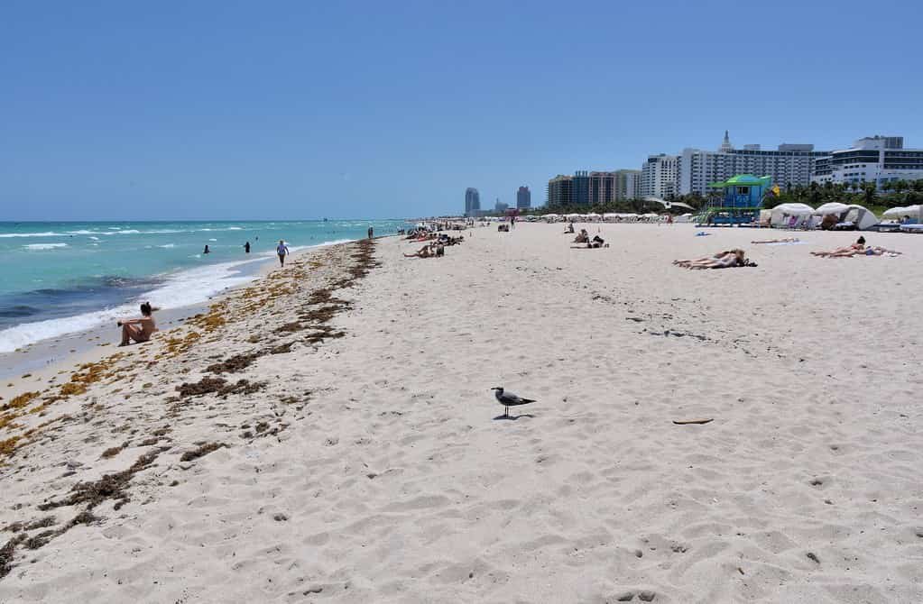 South Beach