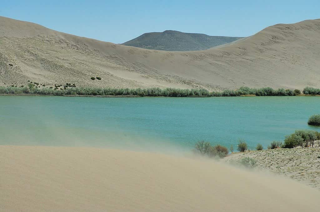 Bruneau Dunes State Park