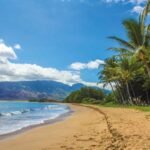 Best Things to Do in Kona Hawaii