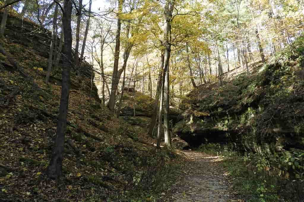 Best State Parks in Iowa, Wildcat Den State Park