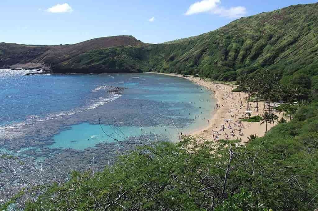 Honolulu Bay 