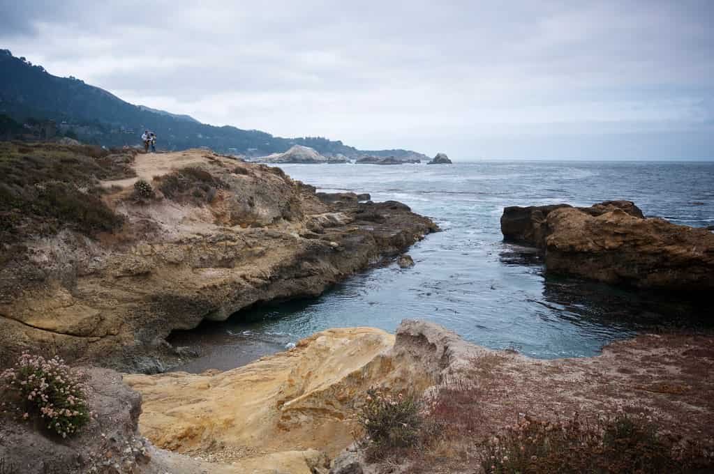 Point Lobos State Natural Reserve 