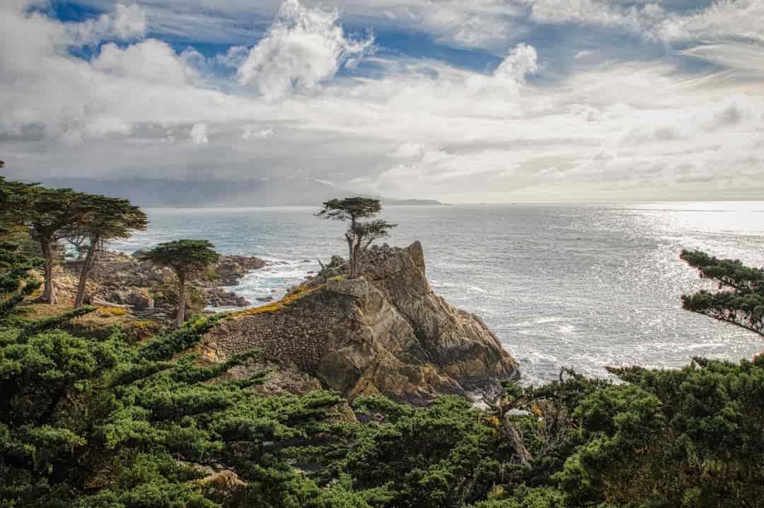 The 17-Mile Drive 